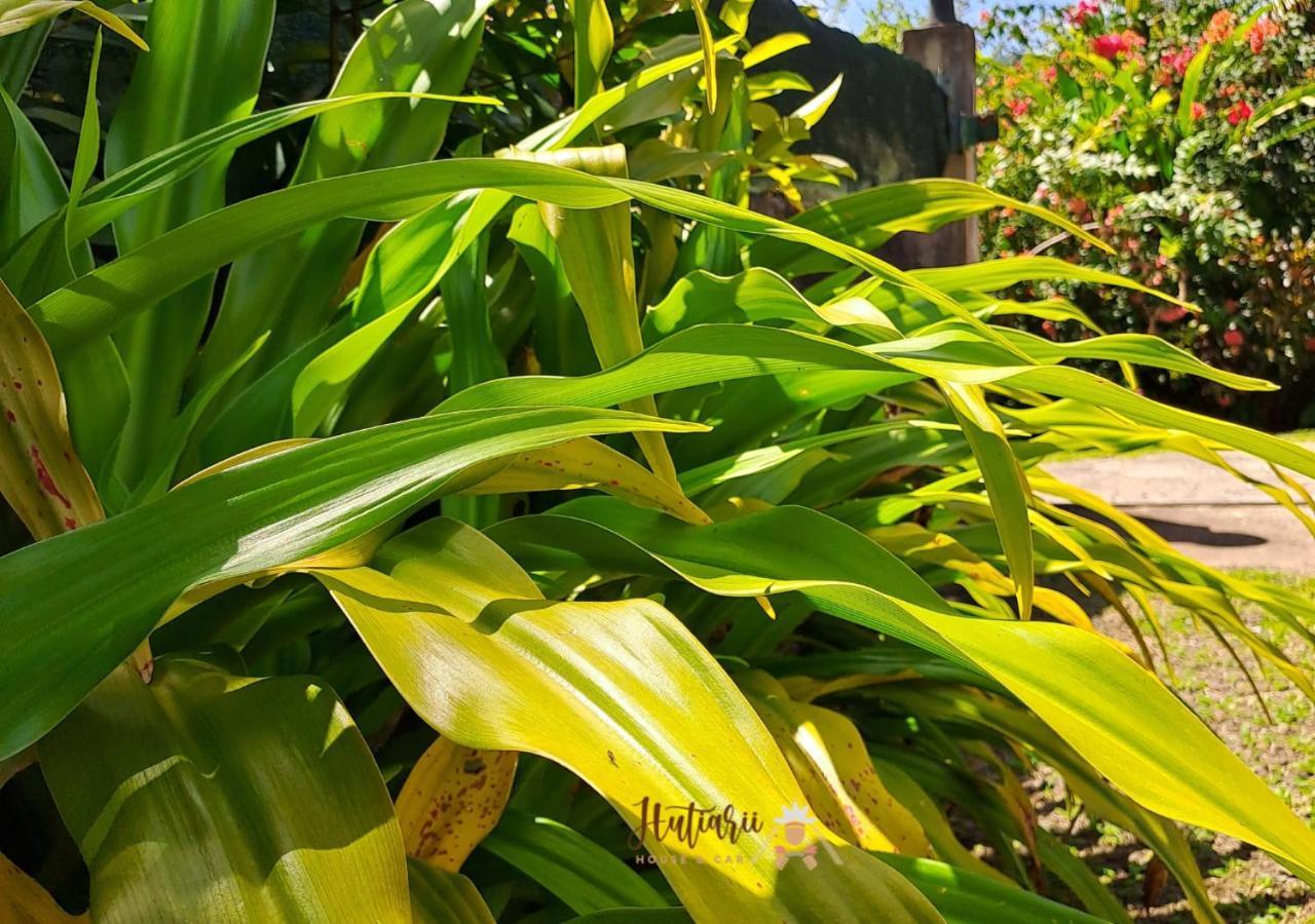 הוילה Tevaitoa Hutiarii House & Car & Excursions Raiatea מראה חיצוני תמונה
